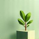 Icono de un cubo 3D con una planta