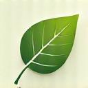 Icono de mapa con una hoja