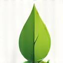 Icona di una foglia verde che simboleggia la paesaggistica ecologica.